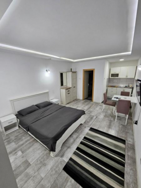 Apartman Viktor